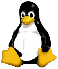 Image 1 : Linux : sortie du noyau 2.6.28
