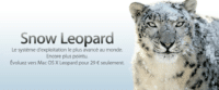Image 1 : Snow Leopard dans 3 jours