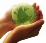 Image 1 : Ecolabels et informatique verte : s'y retrouver