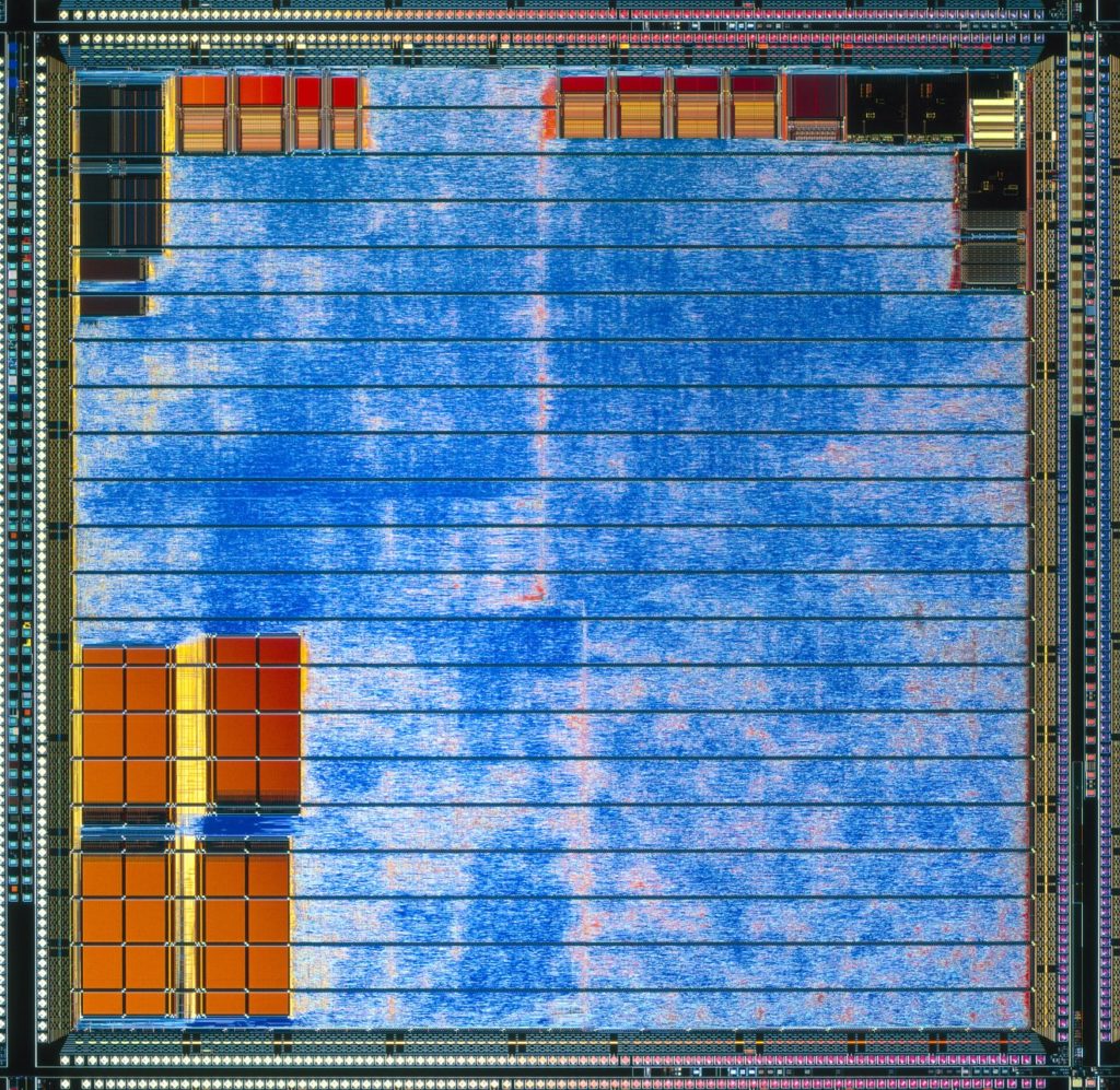 Image 2 : Les GPU NVIDIA en gros plan