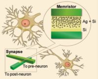 Image 1 : Un memristor se comporte comme une synapse