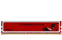 Image 1 : Crucial : de la DDR3 spéciale pour la France