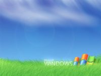 Image 1 : Les distributeurs de billets utilisent encore Windows XP