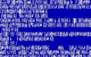 Image 2 : Steve Ballmer a écrit l'écran bleu de la mort
