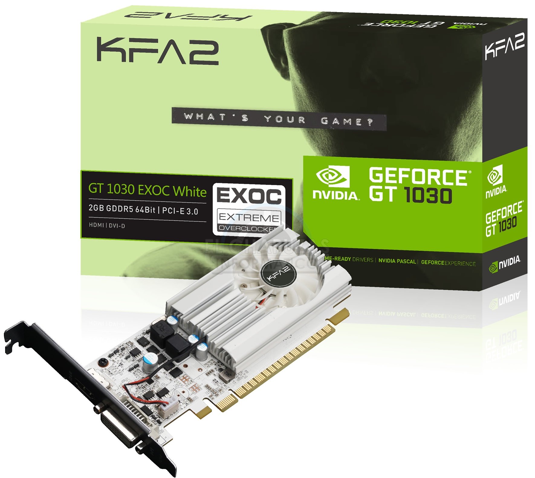 Image à la une de Première carte GeForce GT 1030 en photo : low profile, 1506 MHz