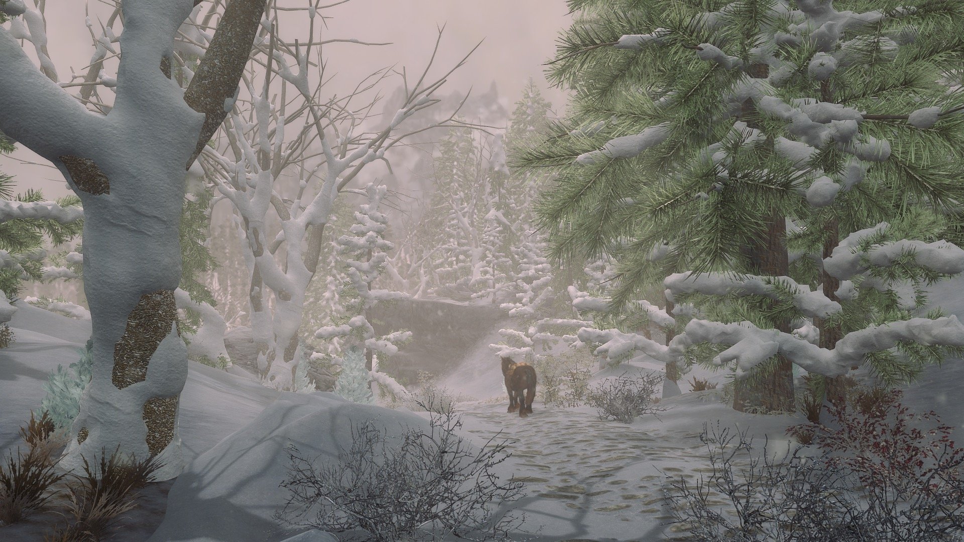 Image à la une de Vidéo : Skyrim 3D Trees, le mod absolu pour optimiser les arbres dans Skyrim