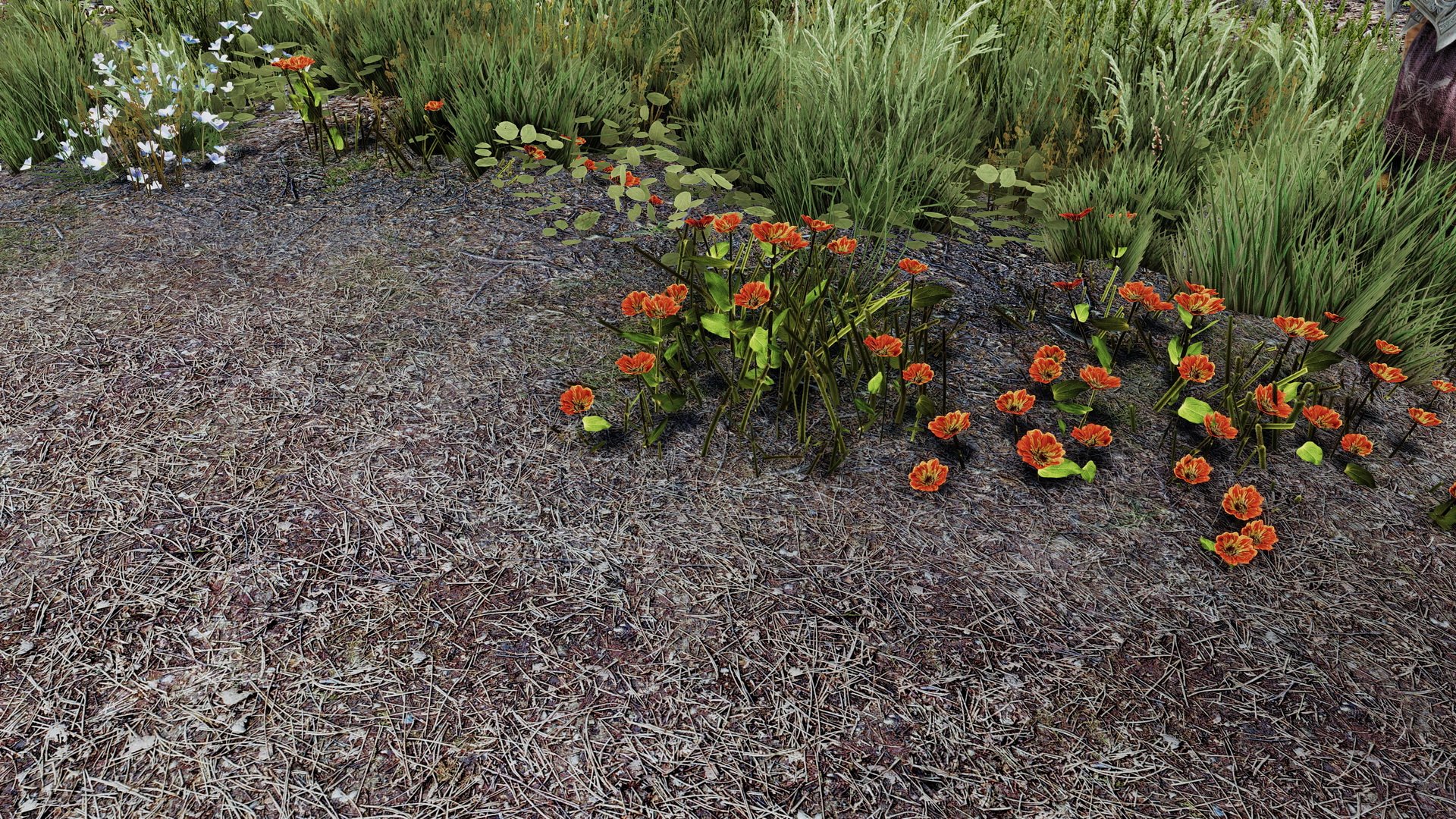 Image à la une de Redécouvrez les paysages de Skyrim SE en 2K avec Landscape Overhaul HD