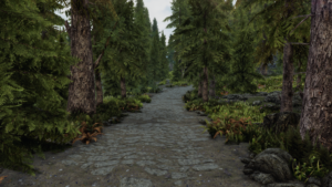 Image 2 : Enhanced Landscapes : le mod de paysages ultimes pour Skyrim