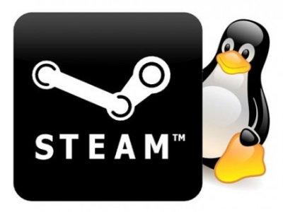 Image à la une de MaJ: Steam Play, des jeux Windows sous Linux via l'API Vulkan !