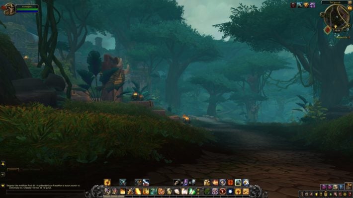 Image 74 : Test : WoW Battle For Azeroth, comparatif DX11 vs DX12, AMD vs NVIDIA