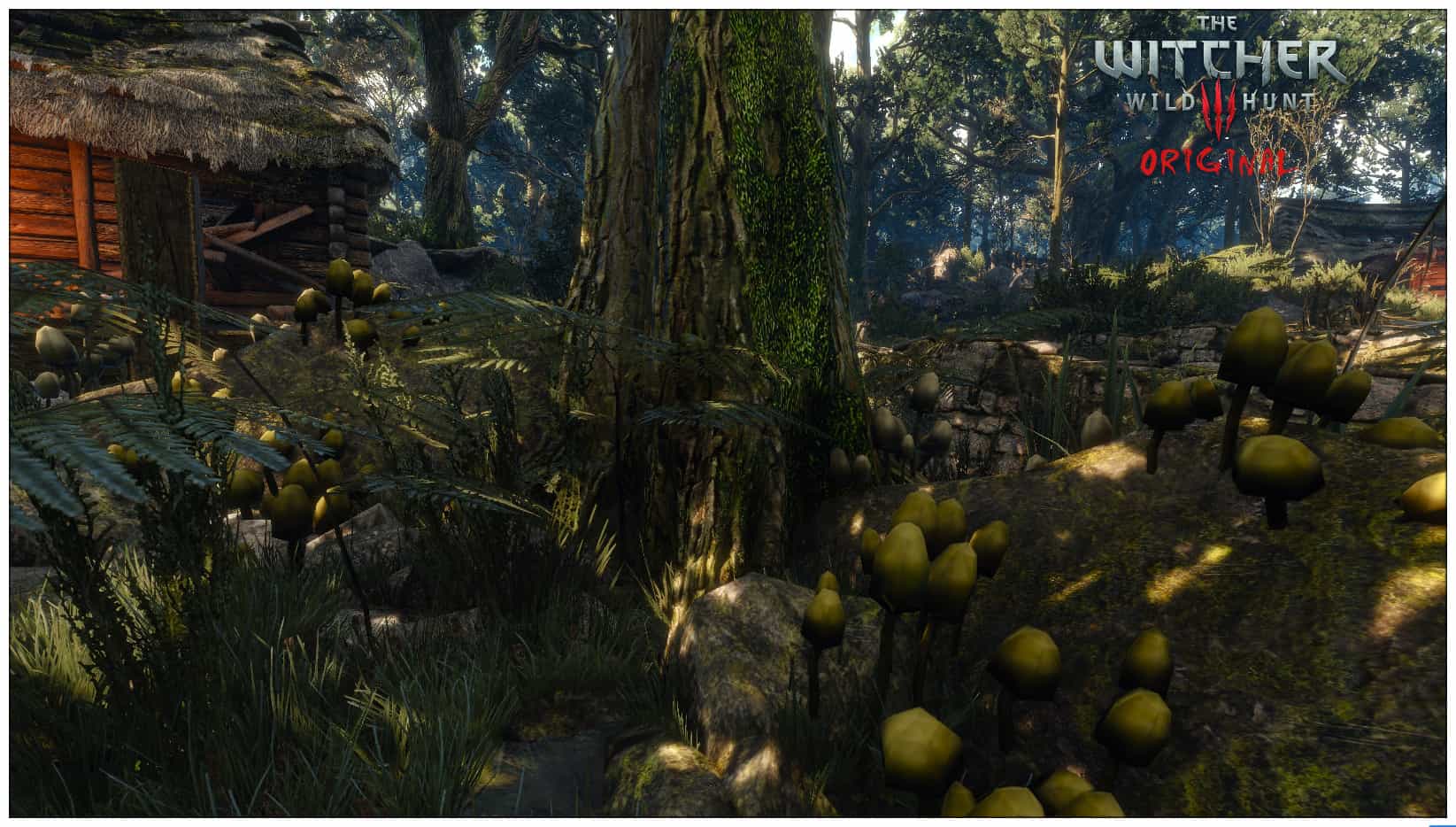 Image 5 : The Witcher 3 : nouveaux visuels du mod HD Reworked Project