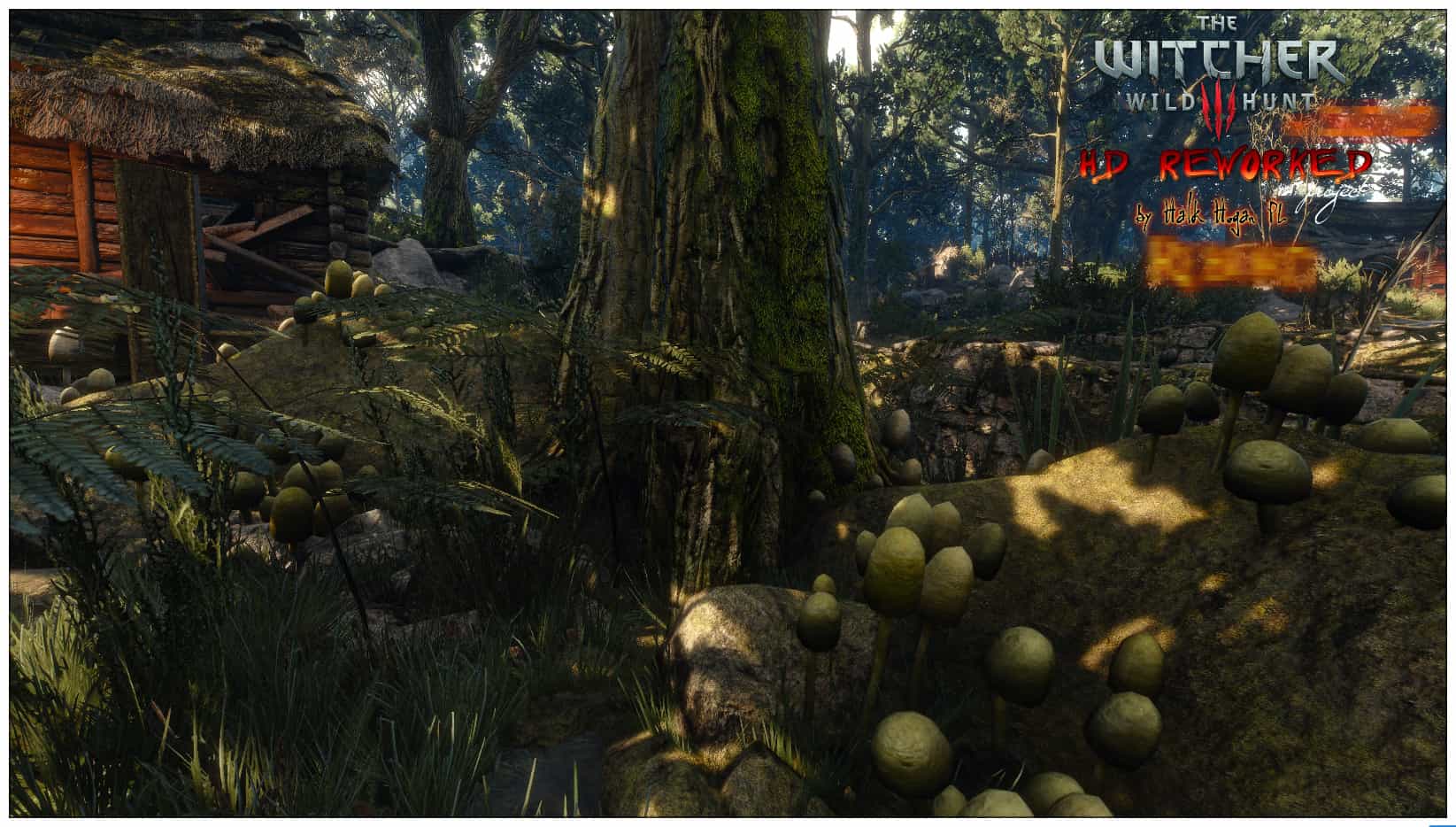 Image 6 : The Witcher 3 : nouveaux visuels du mod HD Reworked Project