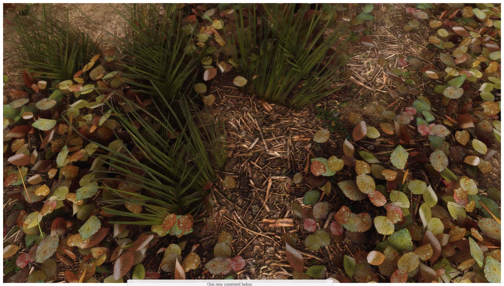 Image 9 : Un pack de textures photoréalistes pour Skyrim Special Edition