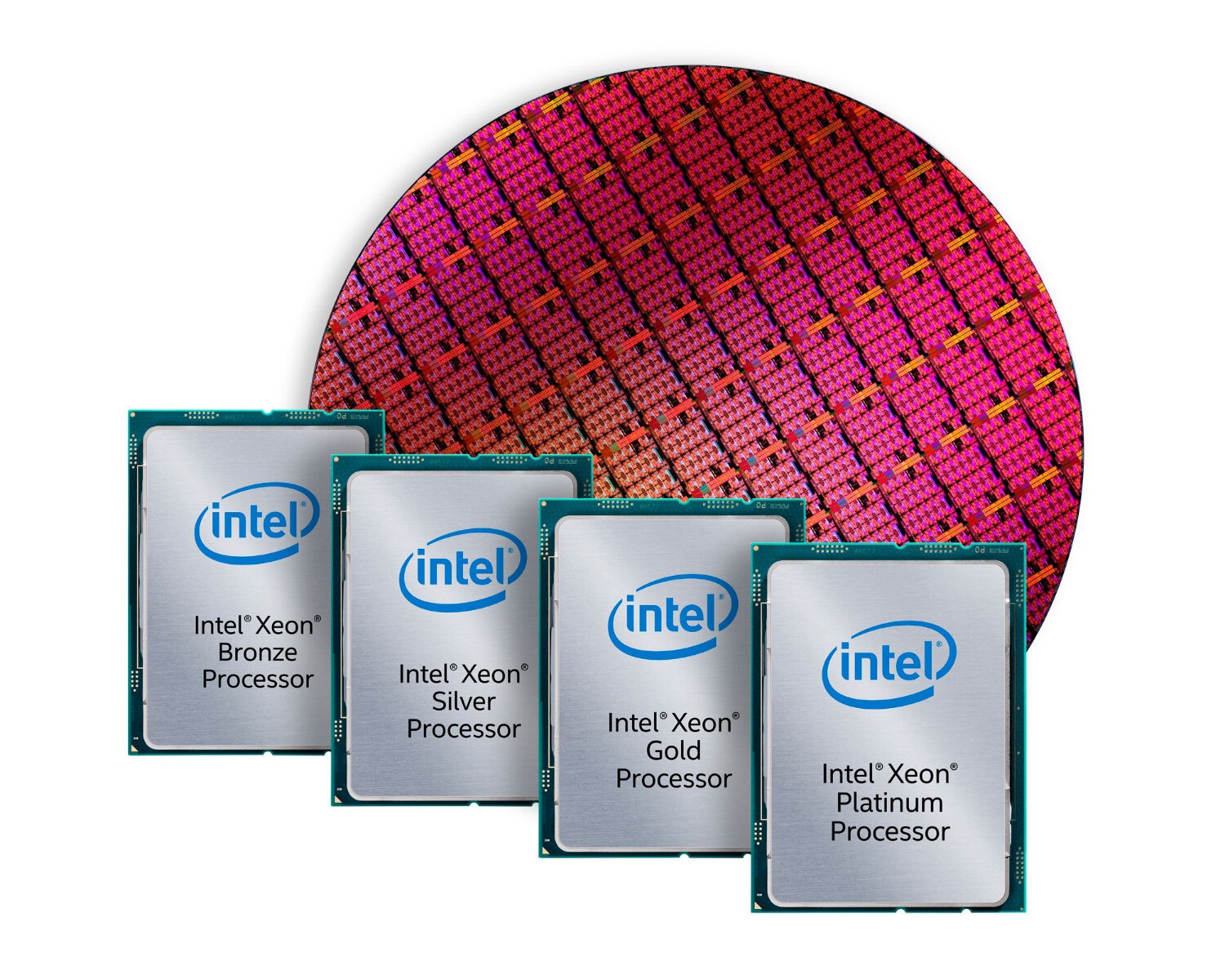 intelgold