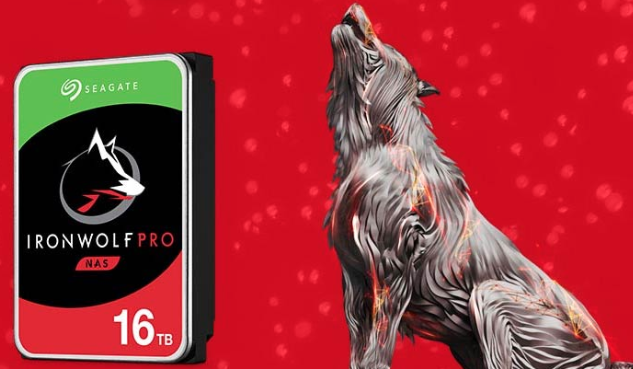 ironwolf 16 To