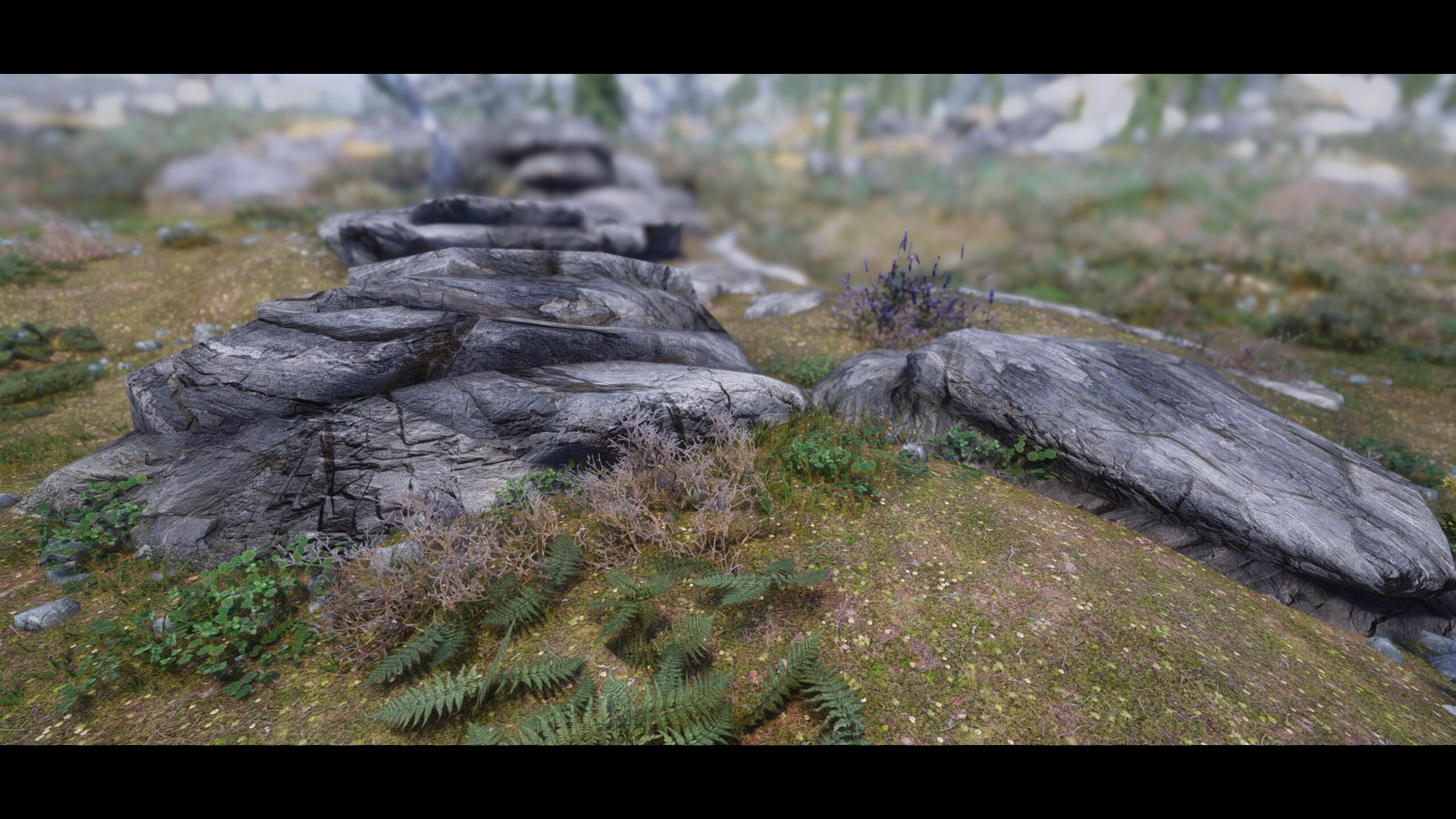 Image 6 : Un pack de textures 8K pour Skyrim, issues de scans en 3D