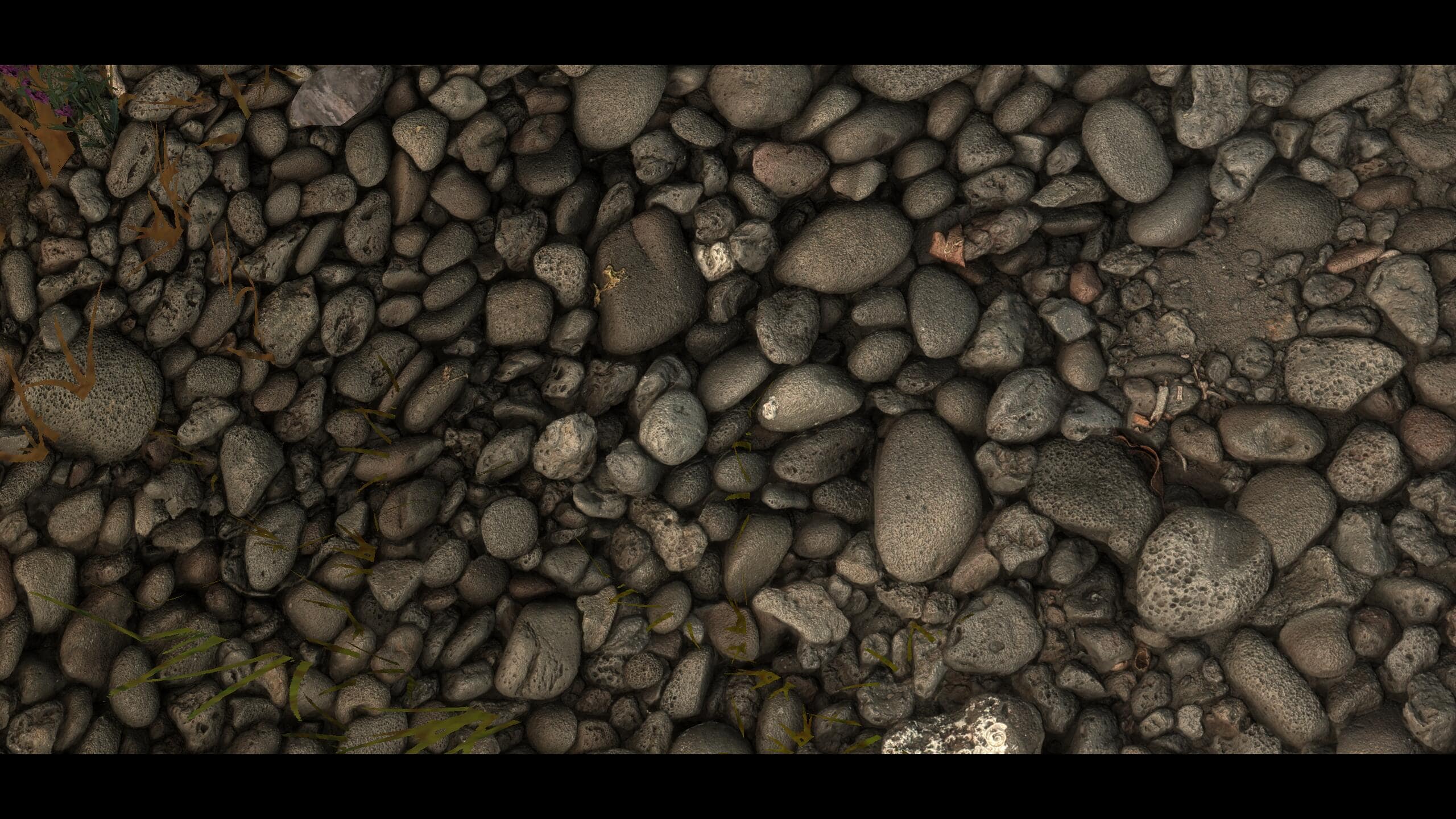 Image 1 : Un pack de textures 8K pour Skyrim, issues de scans en 3D