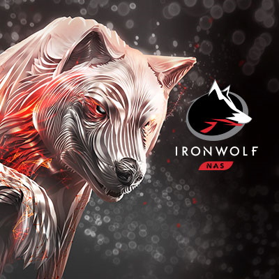 Ironwolf NAS