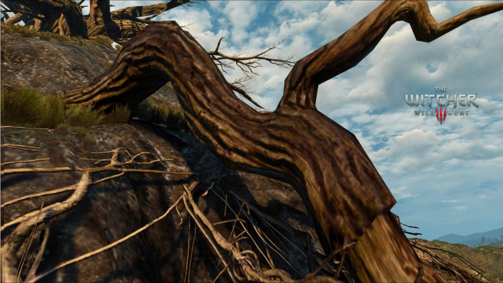 Image 9 : Présentation de The Witcher 3 HD Reworked Project V12 en vidéo