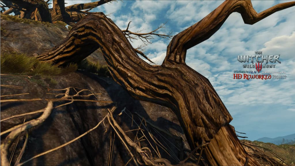 Image 10 : Présentation de The Witcher 3 HD Reworked Project V12 en vidéo