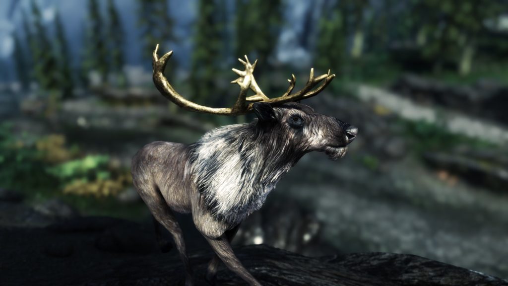 Image 8 : Skyrim Special Edition : un nouveau pack de textures HD pour les créatures