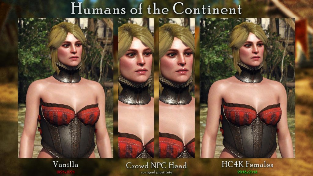 Image 7 : Un pack de textures améliorées par l’IA embellit les humains et humanoïdes de The Witcher 3