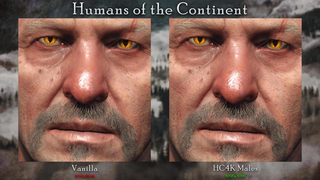 Image 9 : Un pack de textures améliorées par l’IA embellit les humains et humanoïdes de The Witcher 3