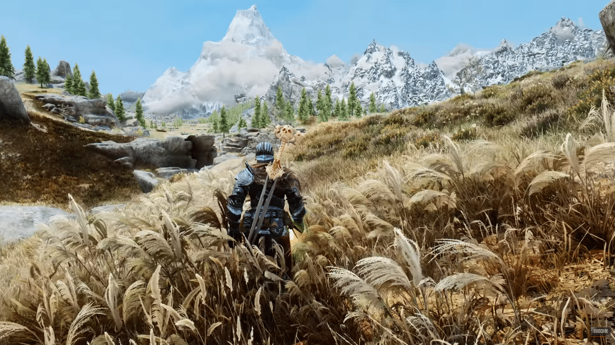 skyrim