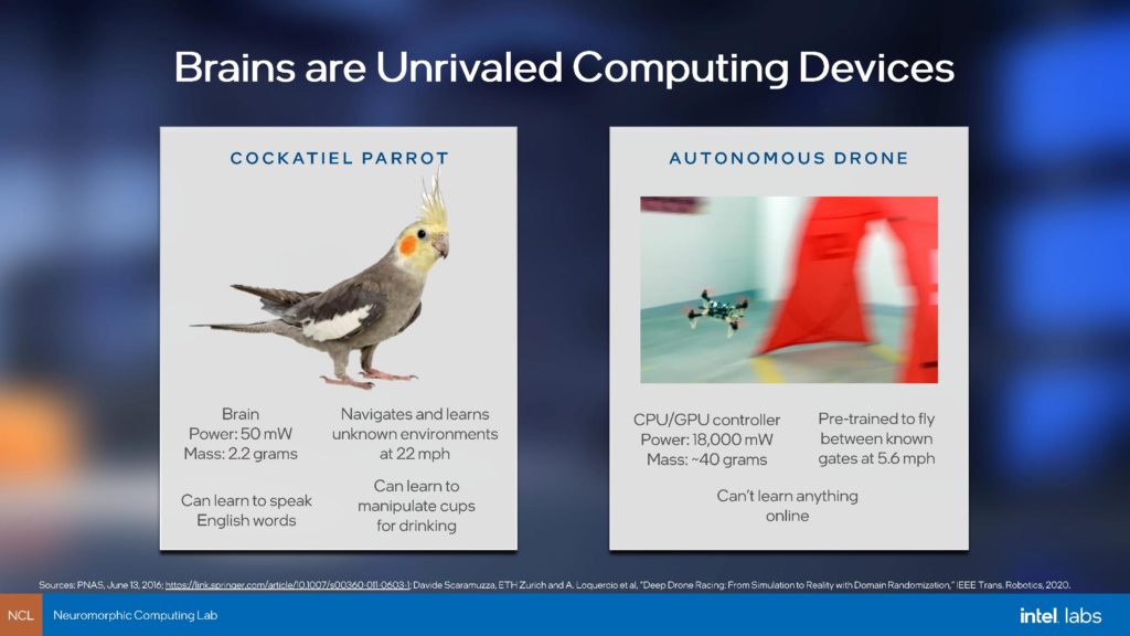 Image 5 : Intel présente Loihi 2, son processeur neuromorphique de deuxième génération