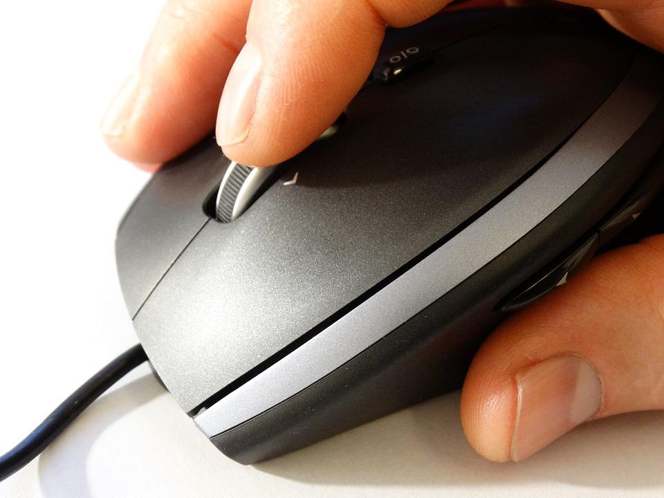 souris