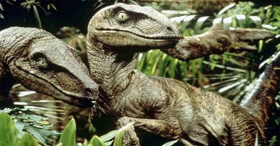 velociraptor