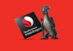 snapdragon