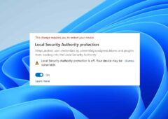 Windows 11 Security Bug