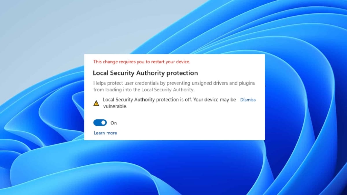 Windows 11 Security Bug