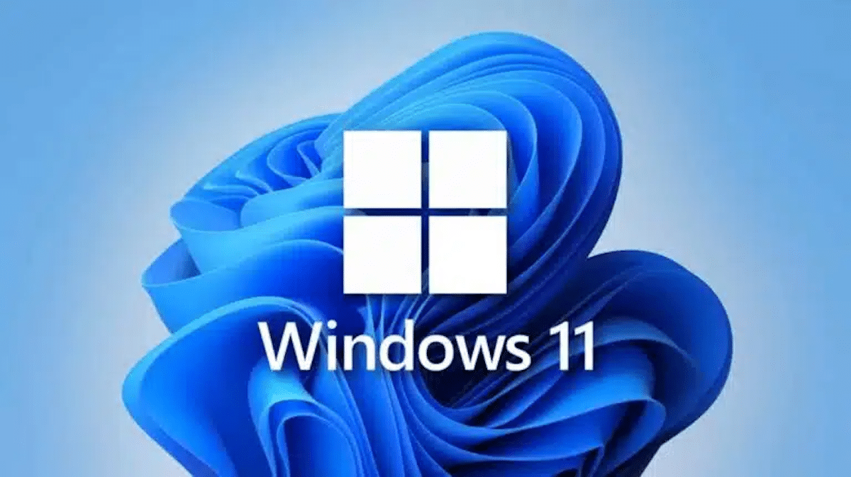 Windows 11 Windows 10 microsoft video codec bug
