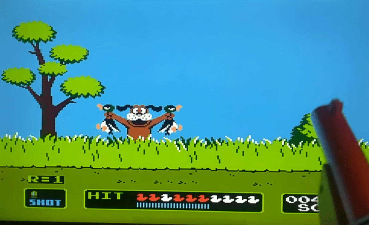 duck hunt