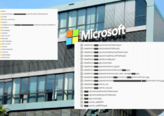 Microsoft fuite données