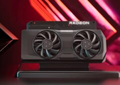AMD Radeon(2)