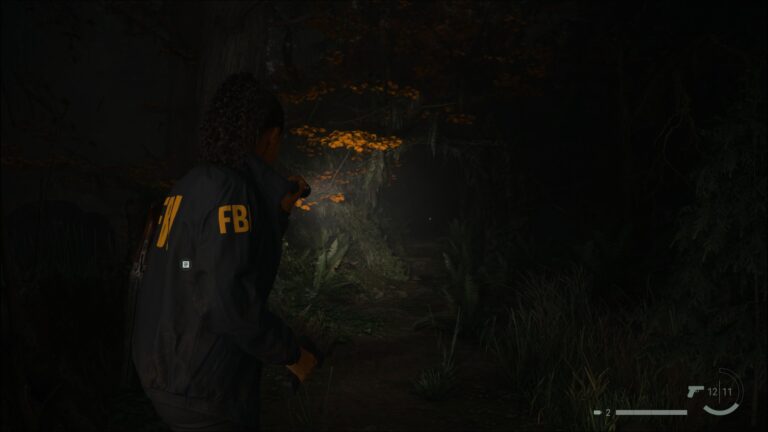 alan wake для playstation