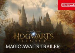 Hogwarts Legacy Switch