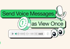 Messages vocaux view once ter