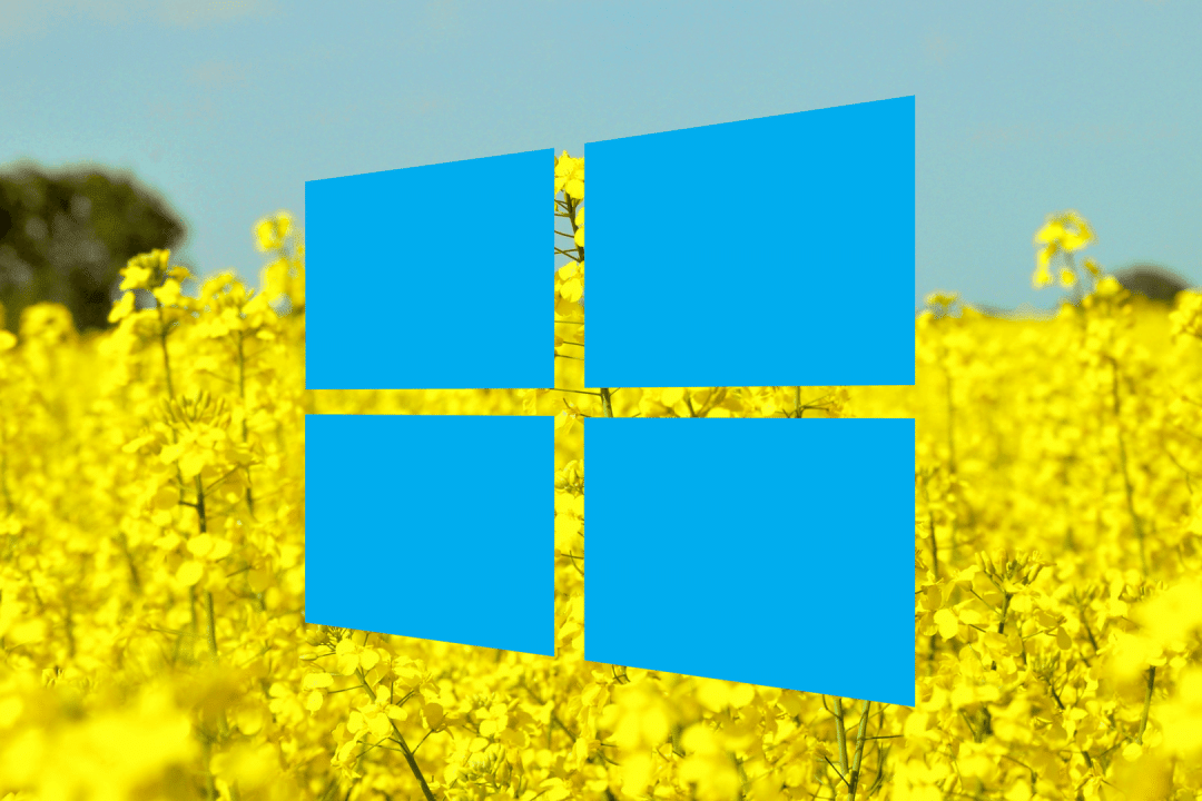 VIP-URcdkey : profitez de Windows 10 à 12€ et Windows 11 à 17€ pour la grande vente flash de printemps !