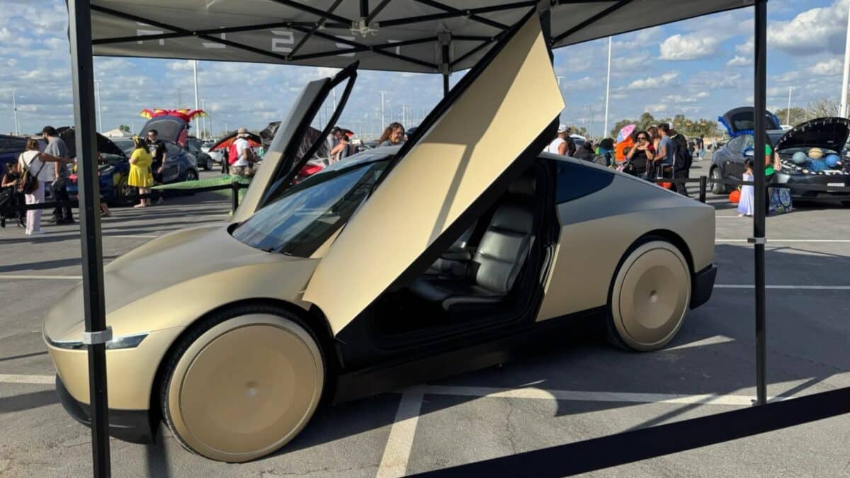 robot taxi tesla