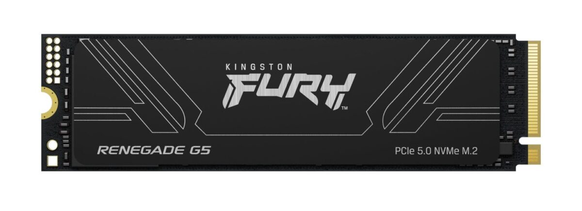 kingston fury renegade g5