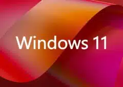 win11