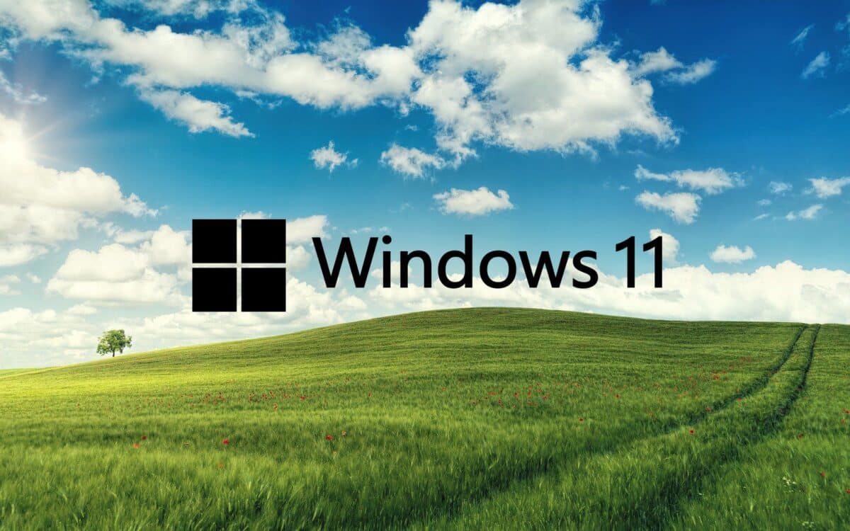 Windows 11 cover