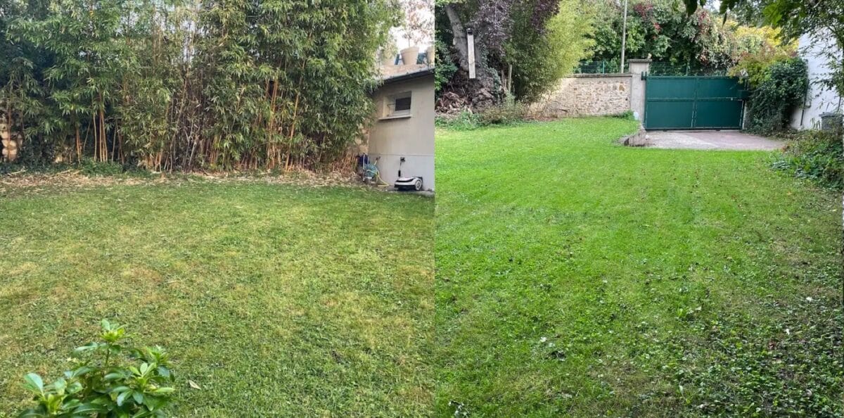 Image 7 : Test Raccoon 2 SE de RoboUp : un robot tondeuse à moins de 500€ parfait pour les petits jardins