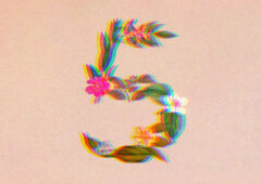 claude sonnet 5