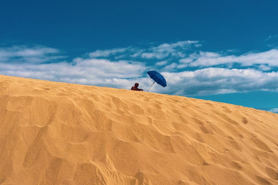 sable parasol